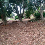 Terreno à venda em Vila Judite, Itapetininga, SP