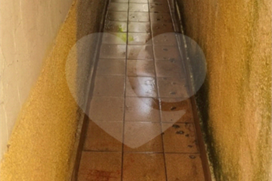 Casa à venda com 2 quartos em Tremembé, São Paulo, SP