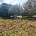 Terreno à venda em Portal da Figueira, Itapetininga, SP