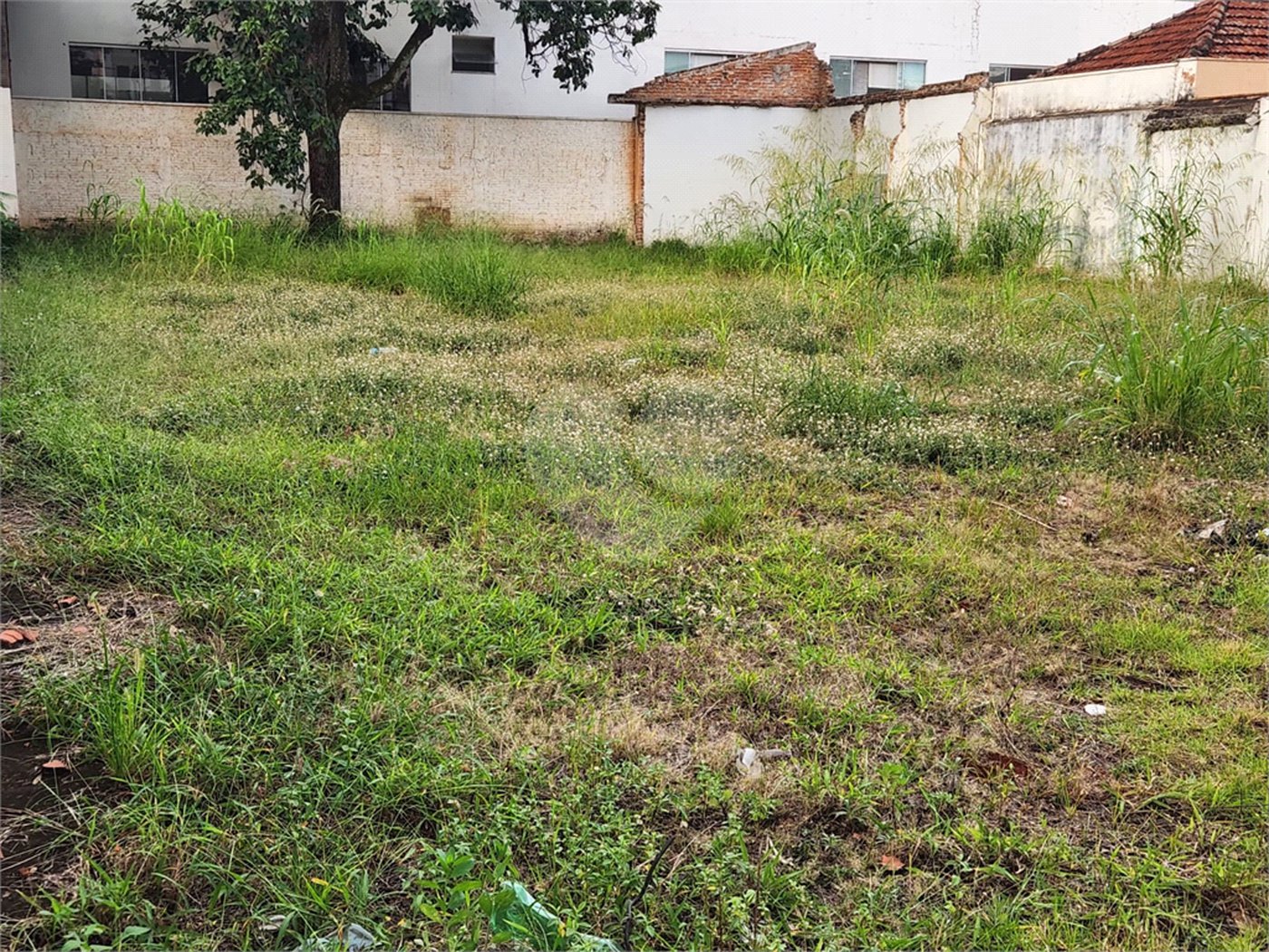 Terreno para alugar no Centro, Araraquara, SP
