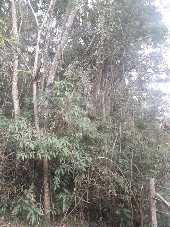 Terreno à venda em Suasalito, Mairiporã, SP