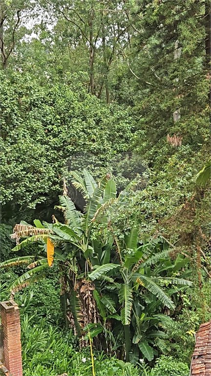 Terreno à venda em Vila Albertina, São Paulo, SP