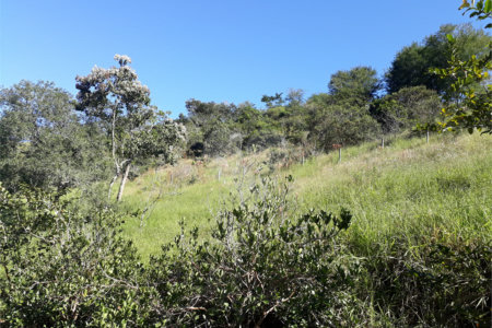 Sítio à venda com 9 quartos, sendo 7 suítes, no Centro, Monteiro Lobato, SP