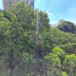Imóvel de 226m² exclusivo com sala ampla 4 quartos, 2 suítes, 4 vagas Higienópolis