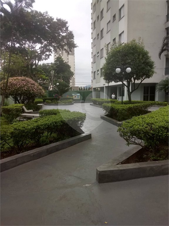 Apartamento à venda com 2 quartos em Mandaqui, São Paulo, SP