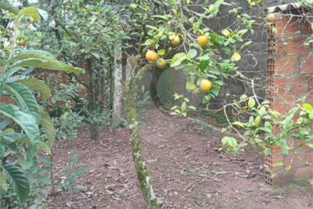 Chácara à venda com 2 quartos em Estância Marília, Jarinu, SP