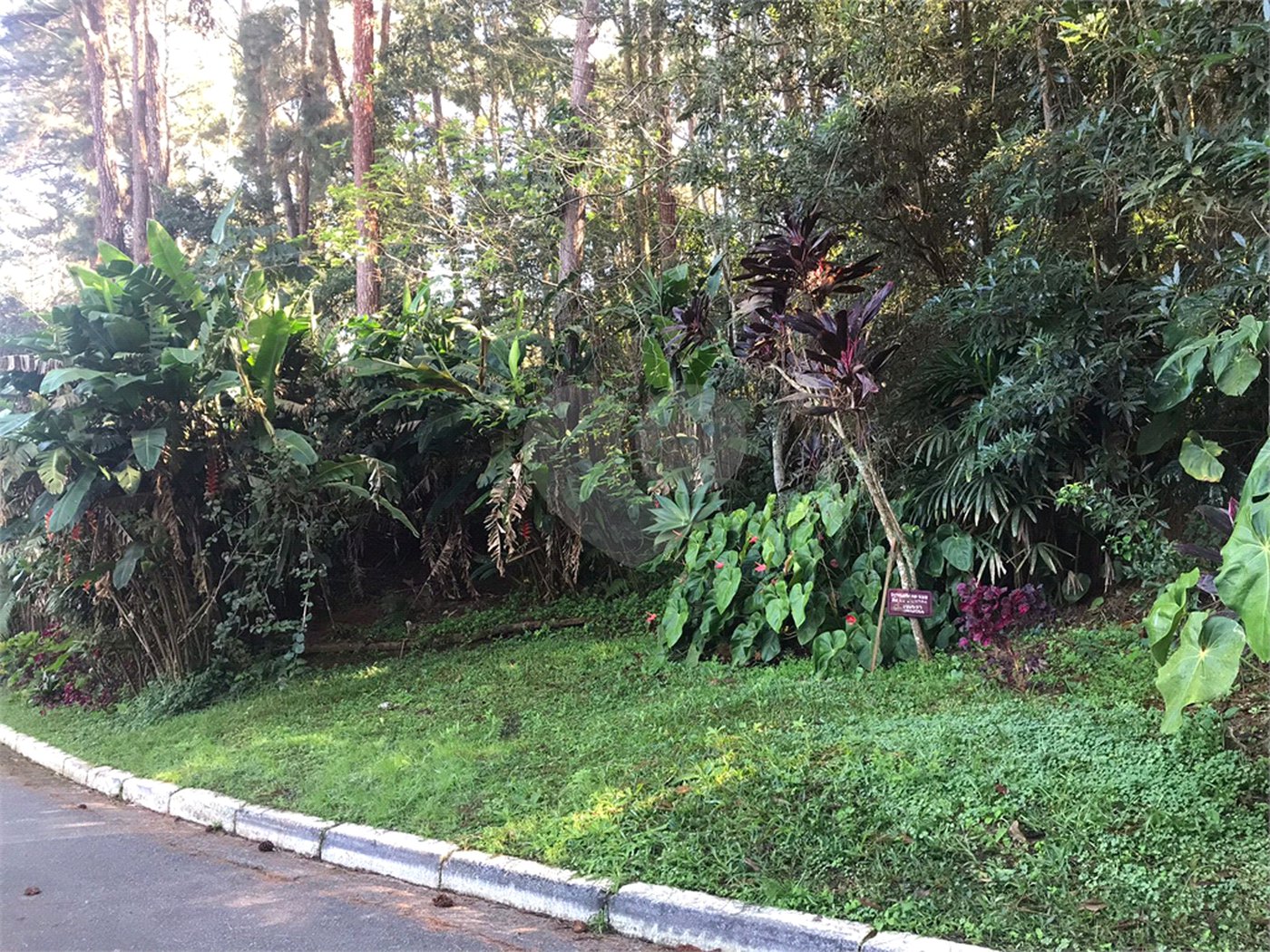 Casa Térrea à venda com 3 quartos, sendo 1 suíte, em Mandaqui, São Paulo, SP