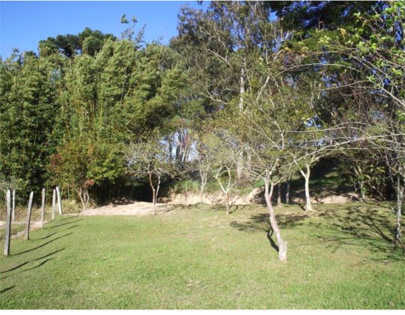 Terreno à venda em Vila Darcy Penteado (mailasqui), São Roque, SP
