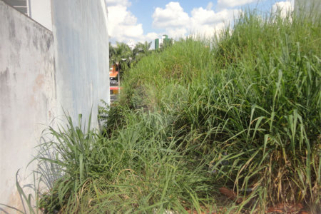 Terreno à venda em Jardim Planalto, Valinhos, SP