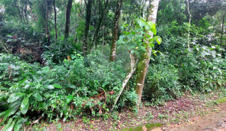 Condomínio à venda em Serra da Cantareira, Mairiporã, SP