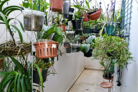 Sobrado à venda com 3 quartos, sendo 1 suíte, em Santana, São Paulo, SP
