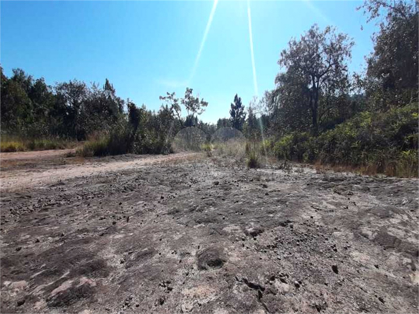 Terreno à venda em Caraguatá, Mairiporã, SP