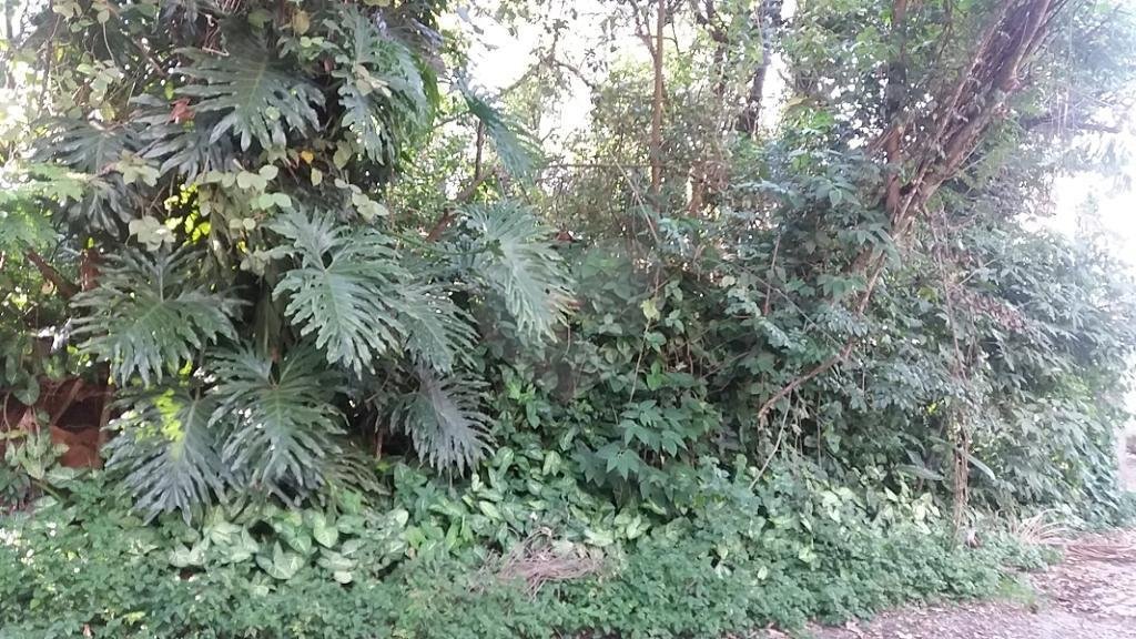 Terreno à venda em Tremembé, São Paulo, SP