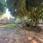 Terreno à venda em Residencial Ponta Porã I, Ponta Porã, MS