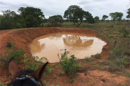 Fazenda à venda com 2 quartos em Canabrava, João Pinheiro, MG