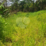 Terreno à venda em Vila Moraes, Mogi das Cruzes, SP