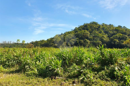 Terreno à venda em Vila Figueiredo, Rio Grande da Serra, SP