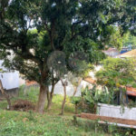 Casa à venda com 3 quartos em Santana, São Paulo, SP