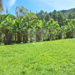 Chácara à venda com 4 quartos, sendo 1 suíte, em Taiaçupeba, Mogi das Cruzes, SP