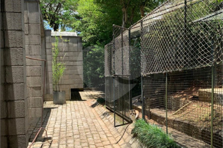 Casa à venda com 5 quartos, sendo 3 suítes, em Morumbi, São Paulo, SP