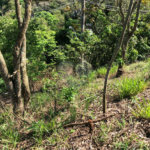 Terreno à venda em Bairro do Cambará, São Roque, SP