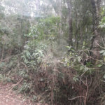 Terreno à venda em Suasalito, Mairiporã, SP