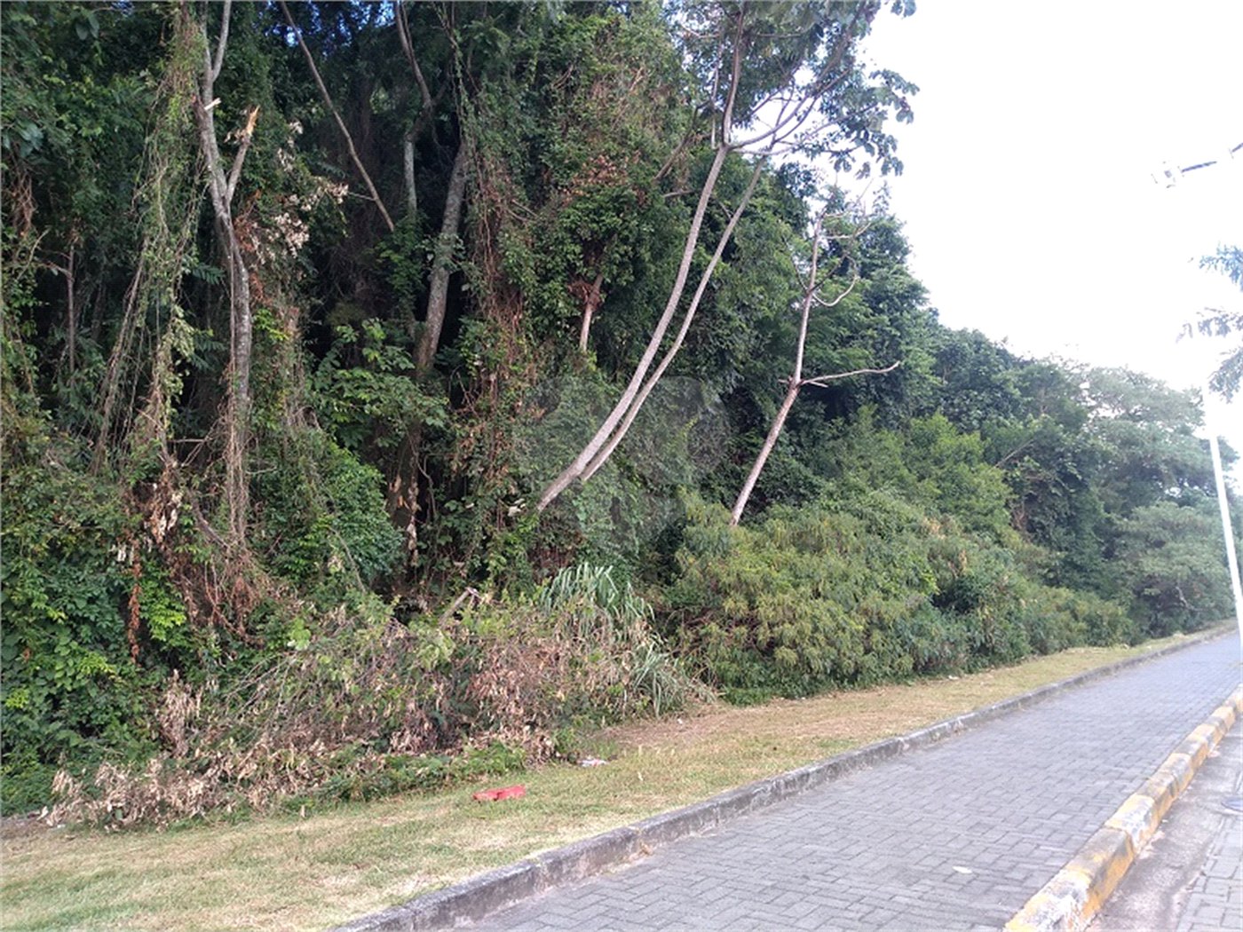 Terreno à venda em Vila Junqueira, Atibaia, SP