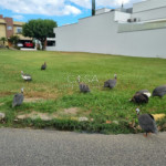 Terreno em condomínio à venda em Jardim Ibiti do Paço, Sorocaba, SP