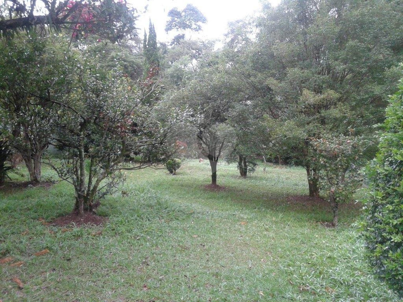 Terreno à venda com 1 quarto, sendo 2 suítes, em Horto Florestal, São Paulo, SP