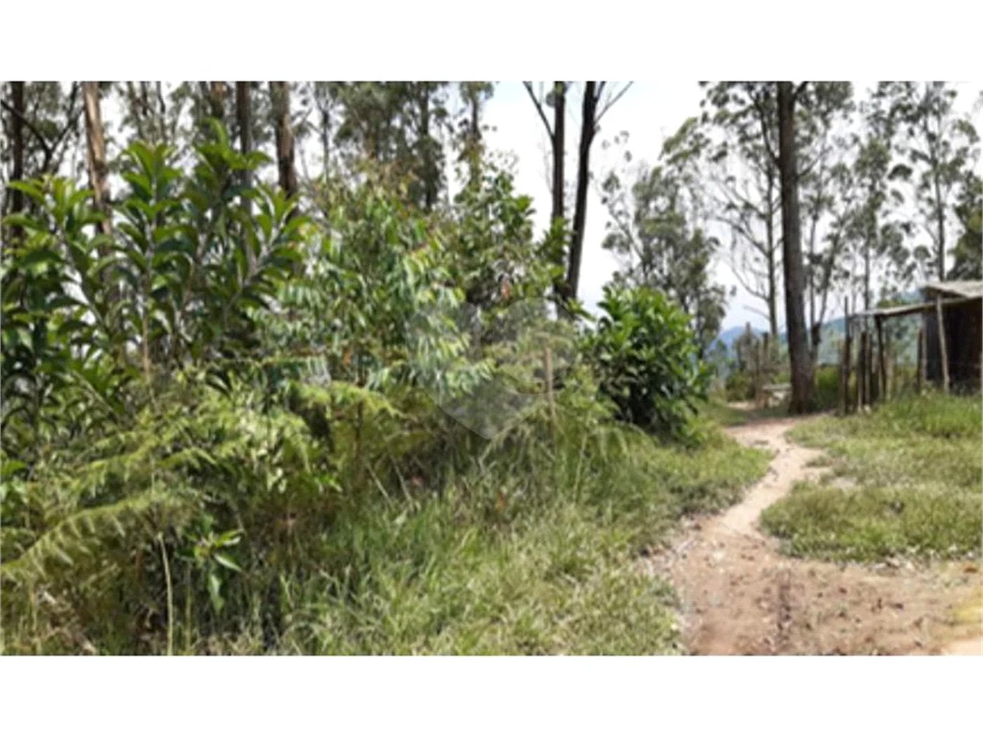 Terreno à venda no condomínio Maracanã, Santo André - SP
