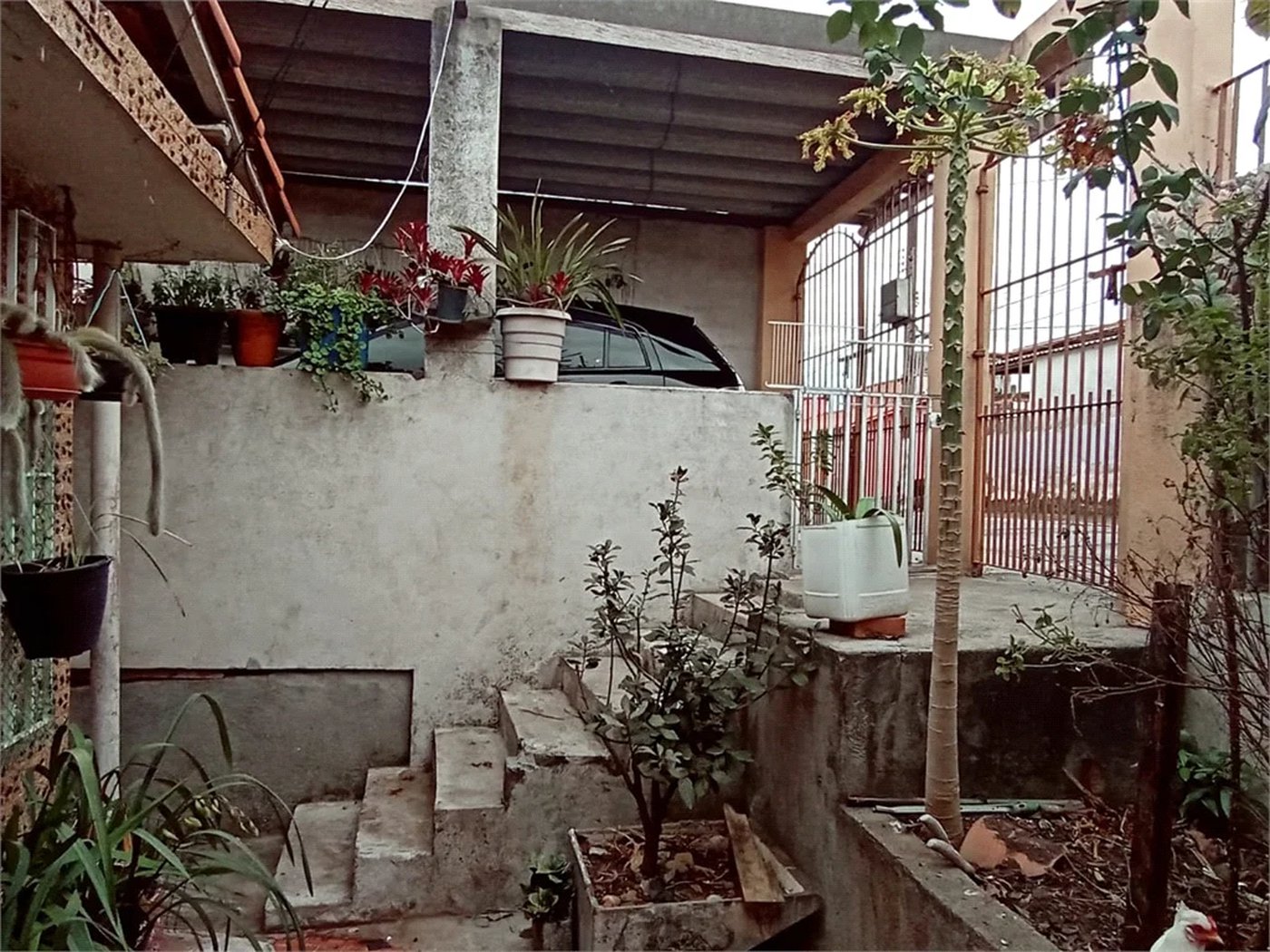 Casa Térrea à venda com 2 quartos em Vila Graziela, São Paulo, SP