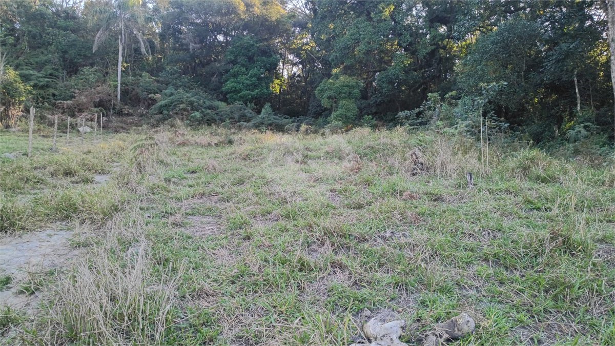 Terreno à venda em Vila Darcy Penteado (mailasqui), São Roque, SP