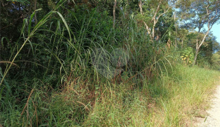 Terreno à venda em Caete (mailasqui), São Roque, SP