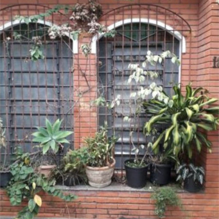 Casa à venda com 3 quartos, sendo 1 suíte,  em Rio Pequeno, São Paulo, SP