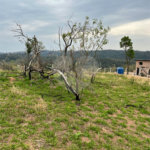 Terreno à venda em Recanto das Acácias, São Roque, SP