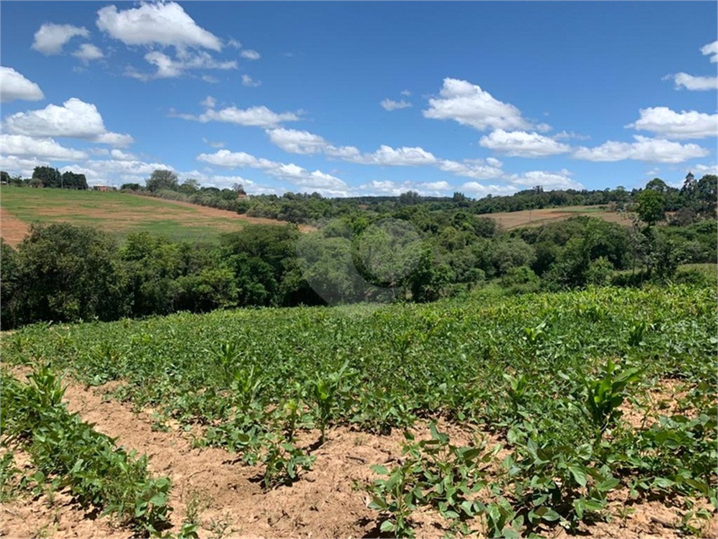 Área de Terra à venda em Cristóvão, Araçoiaba da Serra, SP