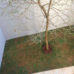 Casa à venda com 2 quartos, sendo 1 suíte, no condomínio Residencial Vegas, São Paulo - SP