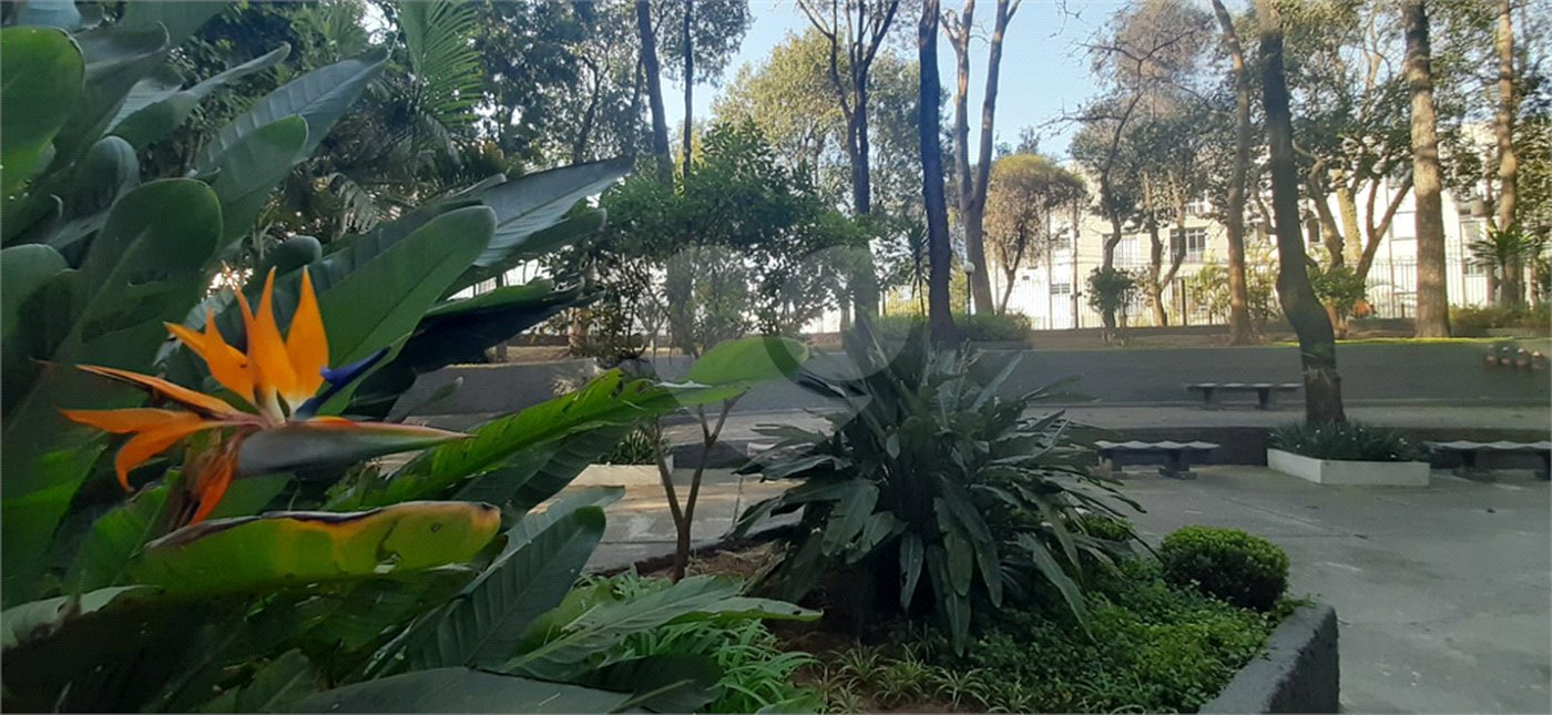 Apartamento à venda com 2 quartos em Mandaqui, São Paulo, SP