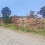 Terreno à venda no condomínio Aútria da Cantareira, Mairiporã - SP