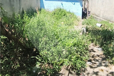 Terreno à venda em Vila Imaculada, Guarulhos, SP