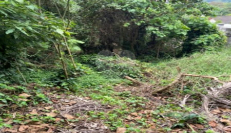 Terreno à venda em Jardim Leonor, São Paulo, SP