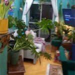 Apartamento à venda com 3 quartos, sendo 1 suíte, em Vila Medeiros, São Paulo, SP
