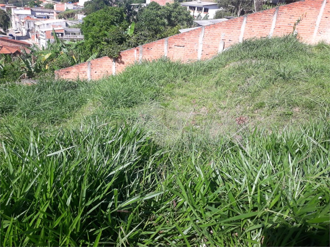 Terreno à venda em Vila Granada, Mairinque, SP