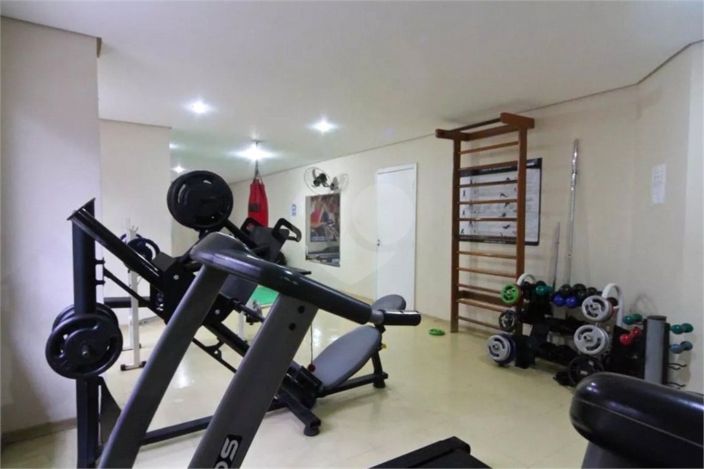 Apartamento à venda com 3 quartos em Vila Nova Cachoeirinha, São Paulo, SP