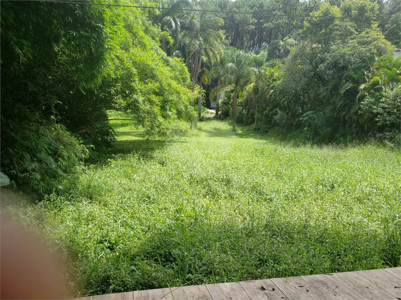 Terreno à venda em Horto, São Paulo, SP
