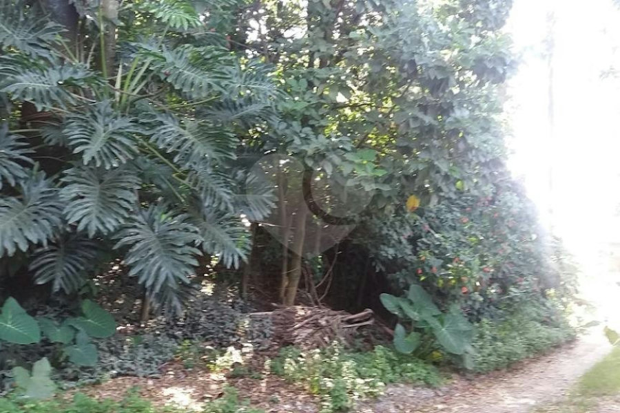 Terreno à venda em Tremembé, São Paulo, SP