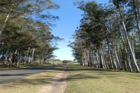 Casa à venda com 4 quartos, sendo 2 suítes,  no condomínio Riviera de Santa Cristina XIII, Paranapanema - SP