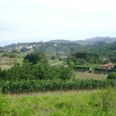 Área de Terra à venda em Colinas do Mosteiro de Itaici, Indaiatuba, SP