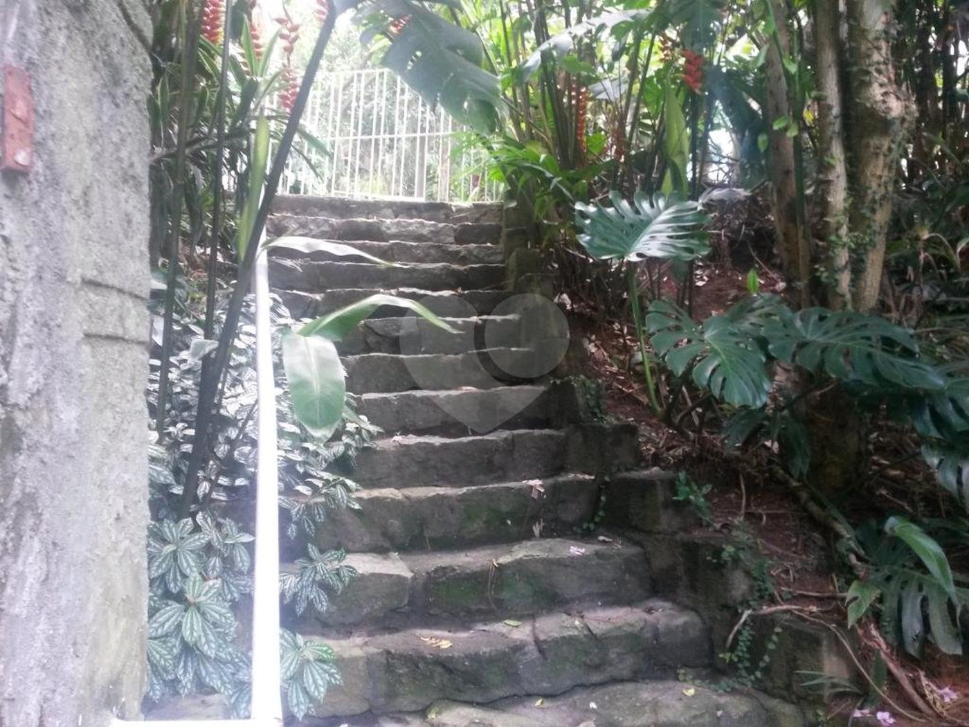 Casa Térrea à venda com 4 quartos, sendo 2 suítes,  em Tucuruvi, São Paulo, SP