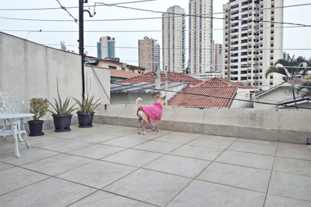 Casa à venda com 5 quartos, sendo 1 suíte, em Água Fria, São Paulo, SP
